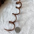画像2: 　  Bouncy Curl   18inch  #30 Brown (2)